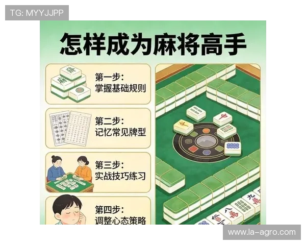 如何准确阅读百家乐小路,掌握看盘技巧提升你的赢面和策略水平 如何准确阅读百家乐小路,掌握看盘技巧提升你的赢面和策略水平