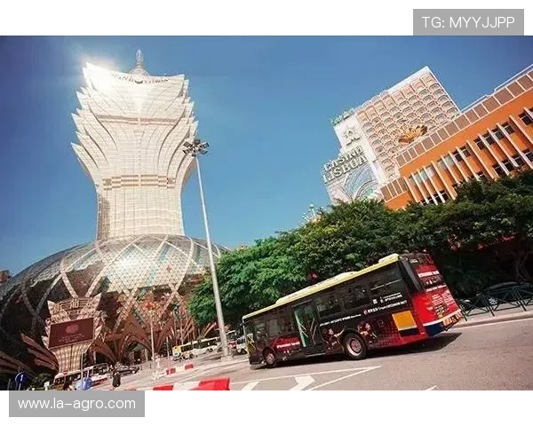 澳门百家乐平台多重保障保障您的资金安全与信息私密