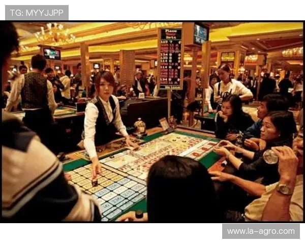 维多利亚赌场：揭秘赌场背后的运营管理与安全保障措施