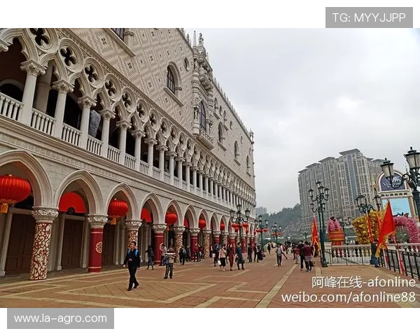 澳门威尼斯娱乐城官方电话联系方式及客户服务流程详解