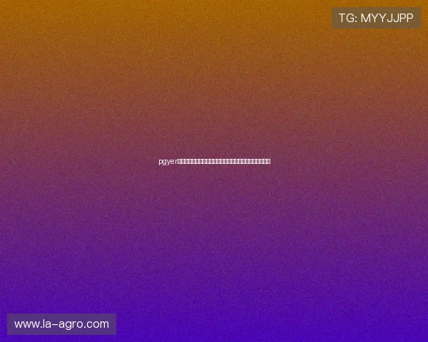 pgyer是干嘛的在世界杯期间如何帮助体育网站快速发布赛事资源 pgyer是干嘛的在世界杯期间如何帮助体育网站快速发布赛事资源