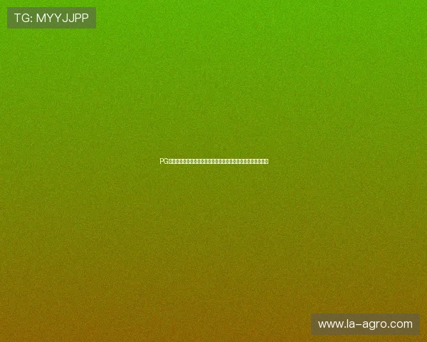 PG南宫下载平台为用户提供最新的世界杯新闻资讯与赛事直播链接 PG南宫下载平台为用户提供最新的世界杯新闻资讯与赛事直播链接