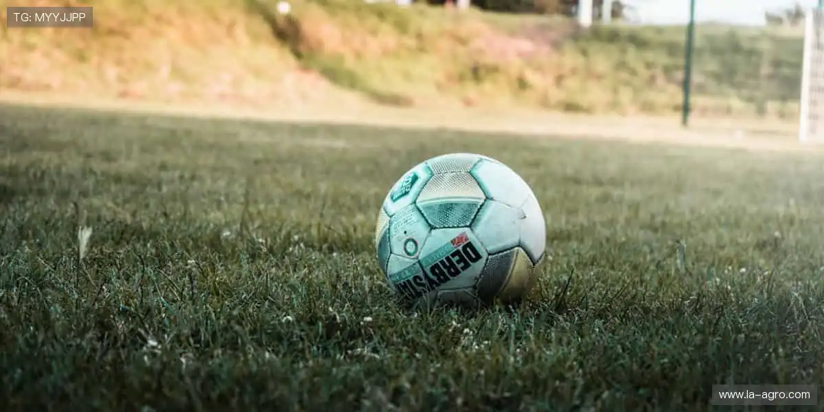 VIA真人视讯博彩：独家技术高清传输，零延迟下注更精准